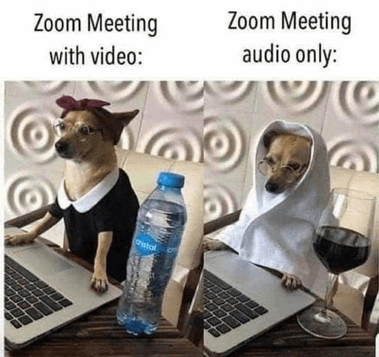 34 Zoom Memes